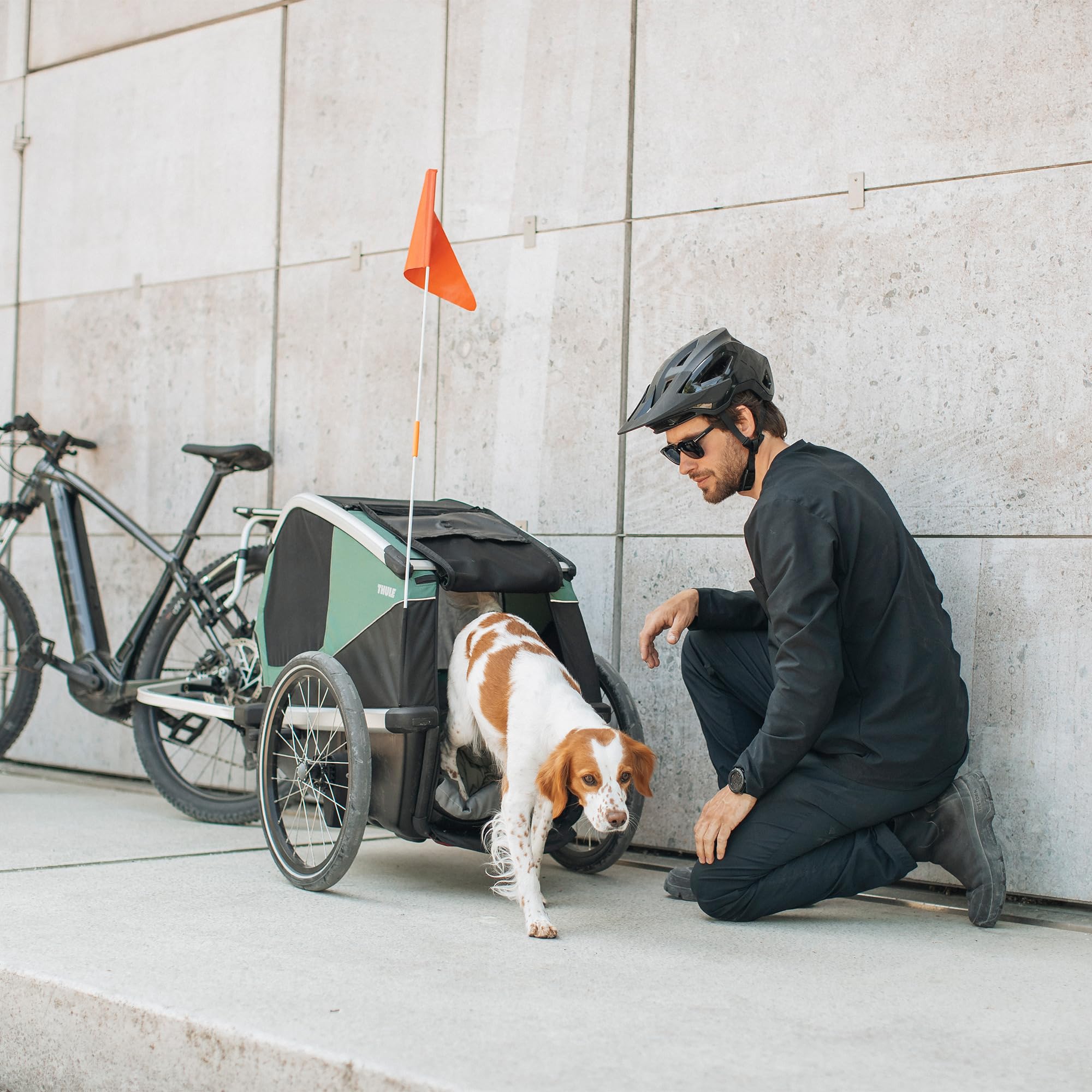 thule-bexey-hunde-fahrradanh-nger-gepolsteter-fahrradanh-nger-f-r-hunde-mit-netz image 5