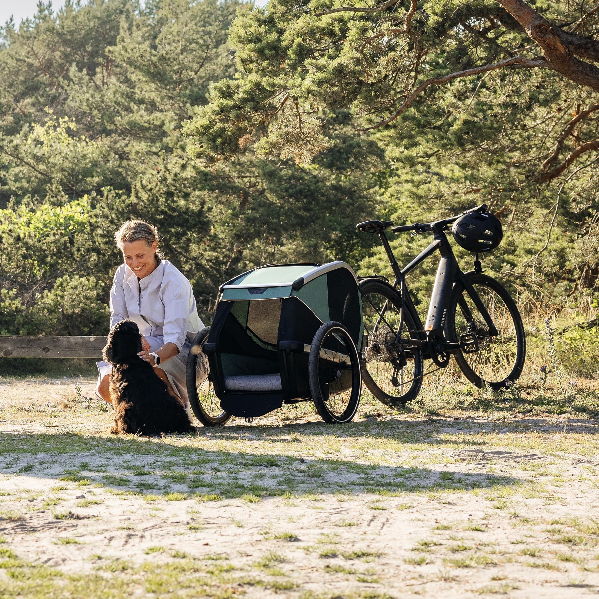 thule-bexey-hunde-fahrradanh-nger-gepolsteter-fahrradanh-nger-f-r-hunde-mit-netz image 8