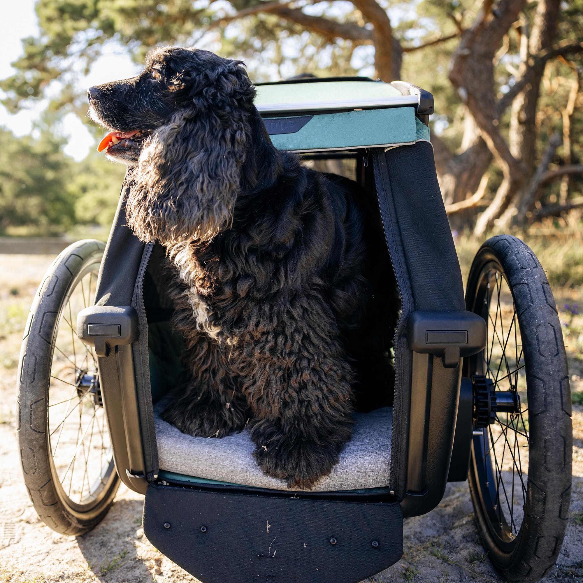 thule-bexey-hunde-fahrradanh-nger-gepolsteter-fahrradanh-nger-f-r-hunde-mit-netz image 6